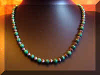 chrysocolashort.JPG (907334 bytes)